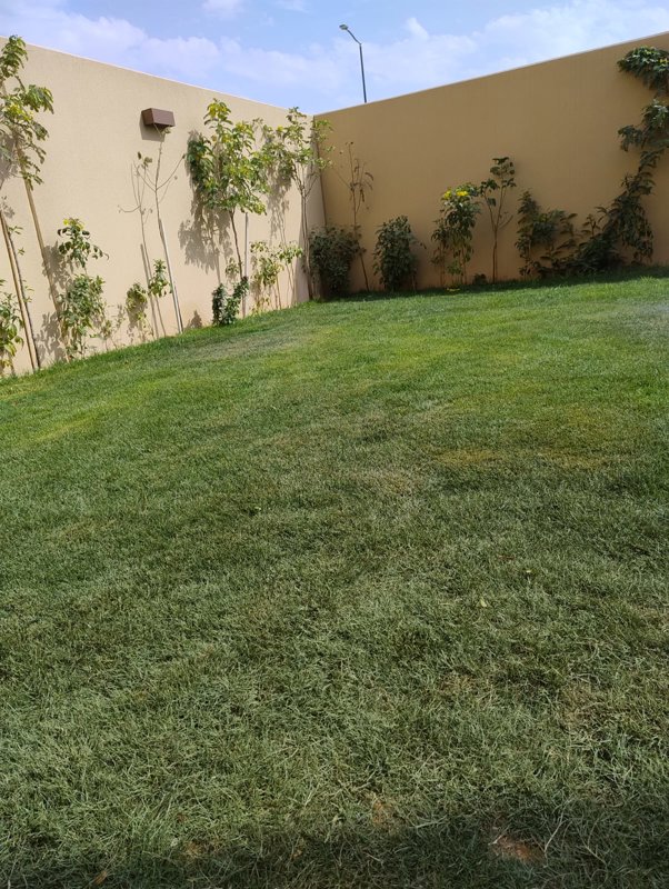  🏡 *Modern Townhouse for Rent in Sedra (Roshn) – Stylish & Family-Friendly* 👨‍👩‍👧‍👦 - Image 16